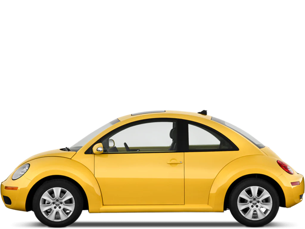 Beetle